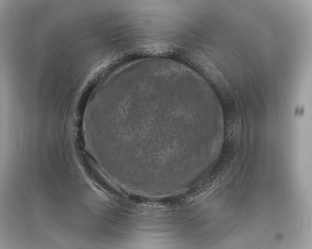X0000096140736200802011210