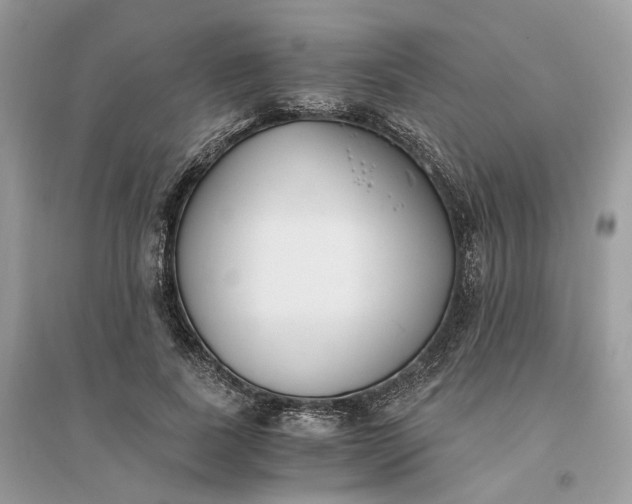 X0000096140739200802011210
