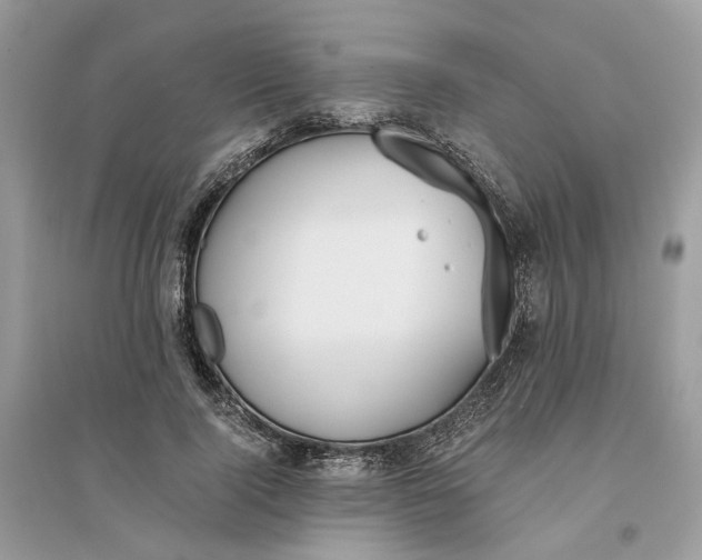 X0000096140740200802011210
