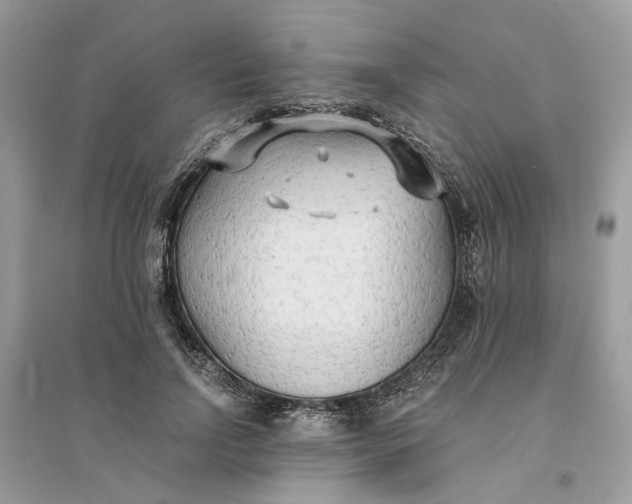 X0000096140742200802011210