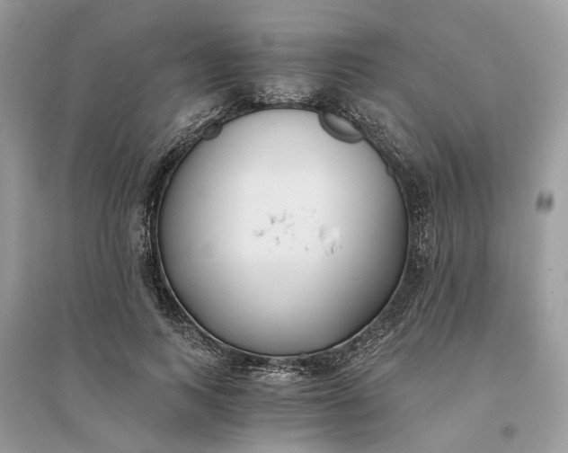 X0000096140743200802011210