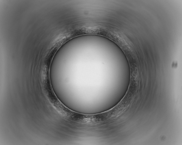 X0000096140744200802011210