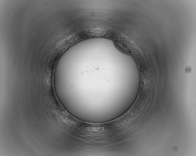 X0000096140745200802011210