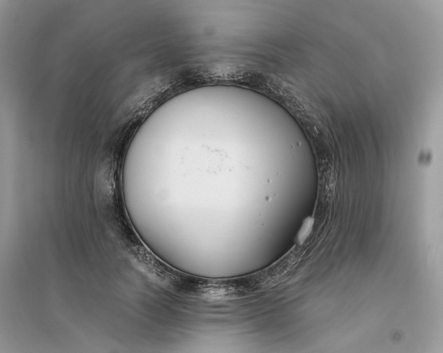 X0000096140746200802011210