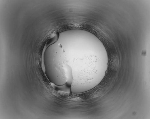 X0000096140747200802011210