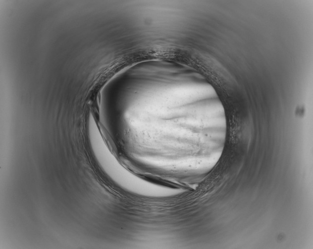 X0000096140748200802011210