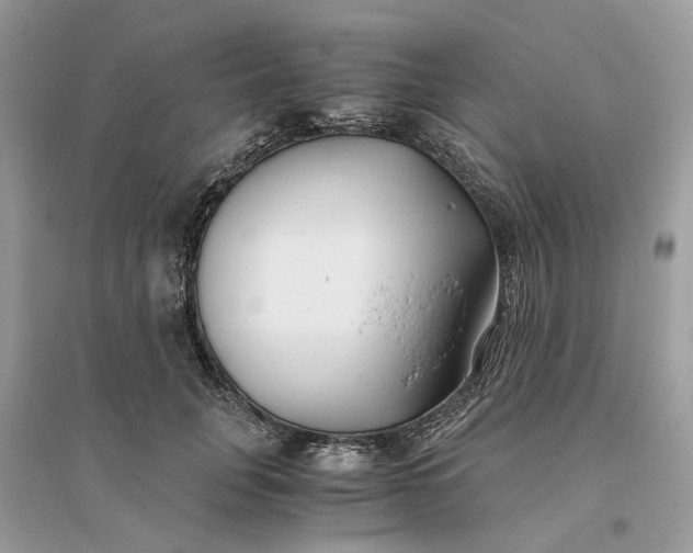 X0000096140751200802011210