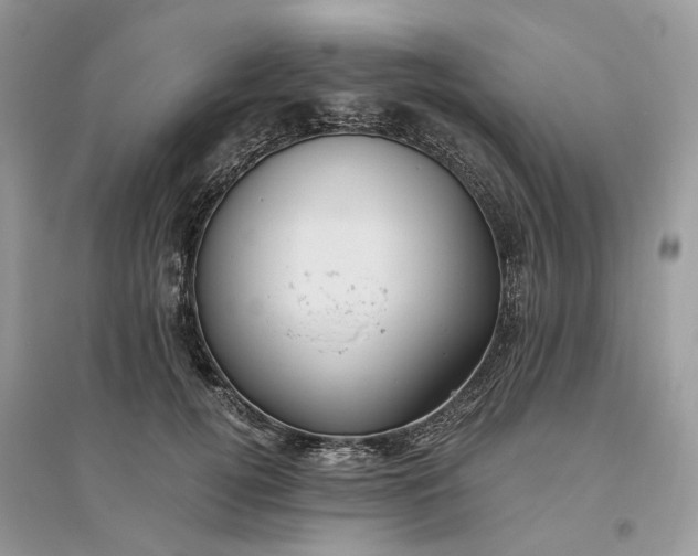 X0000096140752200802011210