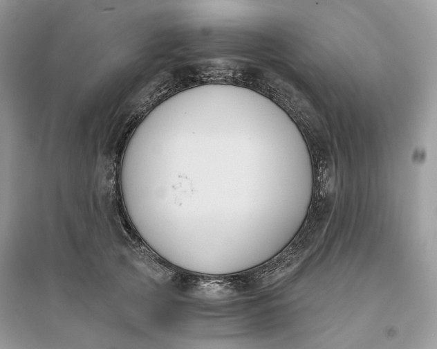 X0000096140753200802011210