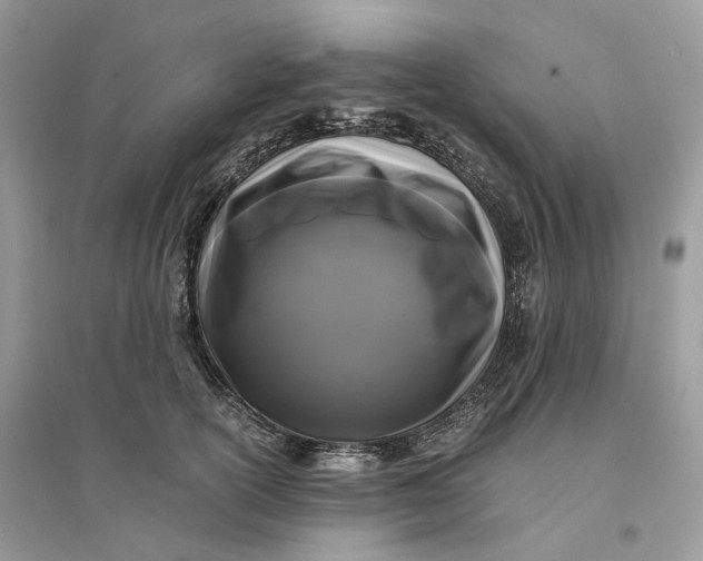 X0000096140754200802011210