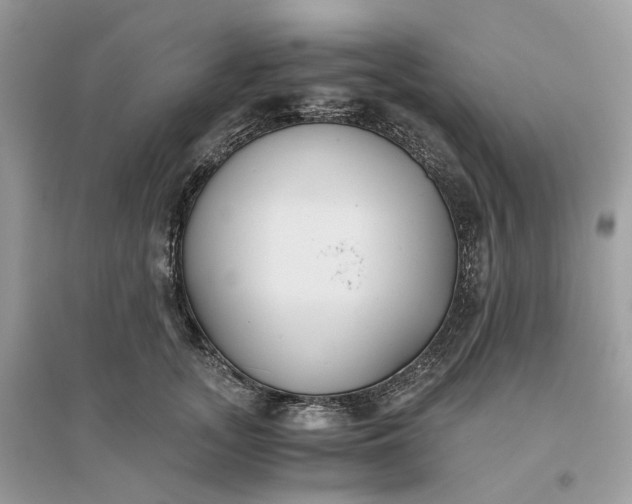 X0000096140755200802011210