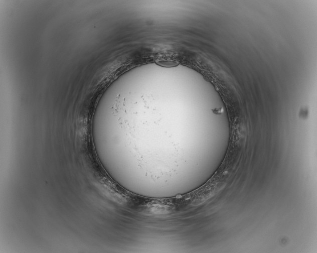 X0000096140756200802011210