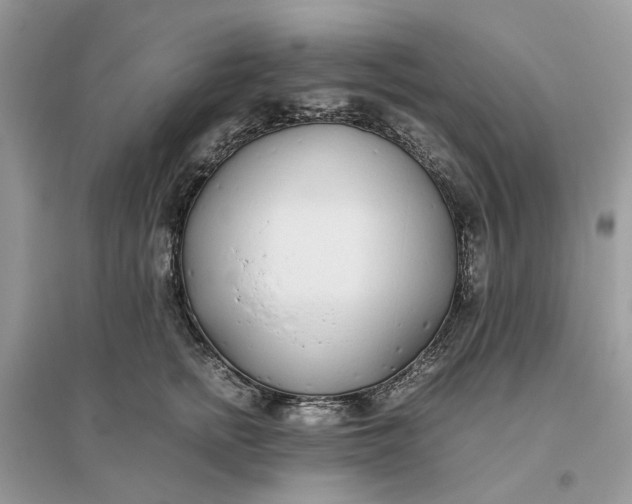 X0000096140758200802011210
