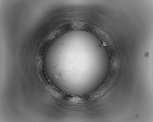 X0000096140759200802011210