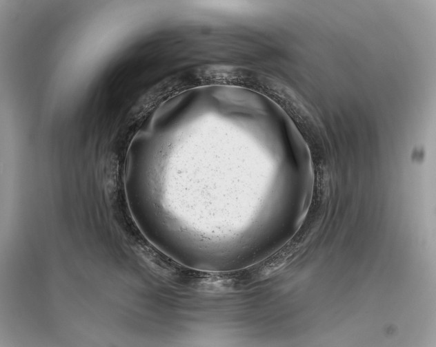 X0000096140760200802011210