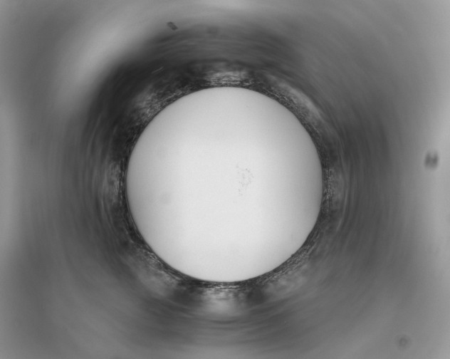 X0000096140761200802011210