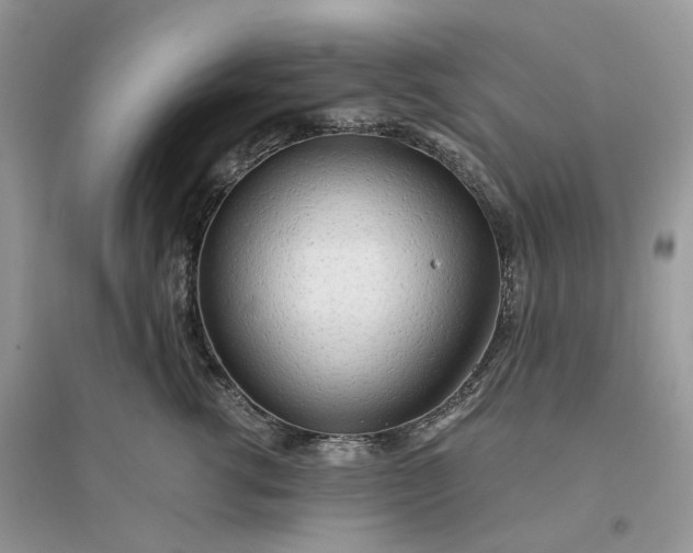 X0000096140762200802011210