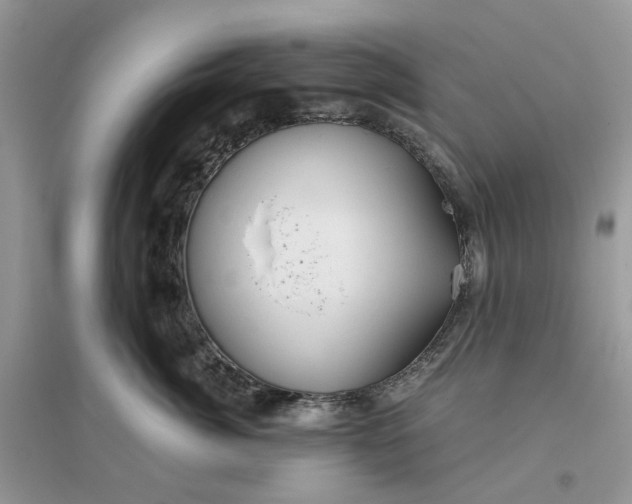 X0000096140764200802011210
