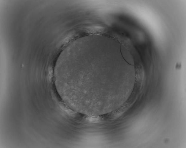 X0000096140767200802011210