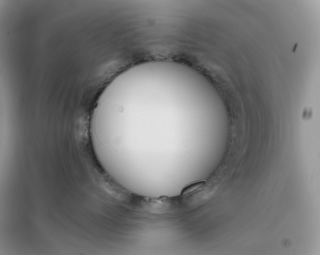 X0000096140768200802011210