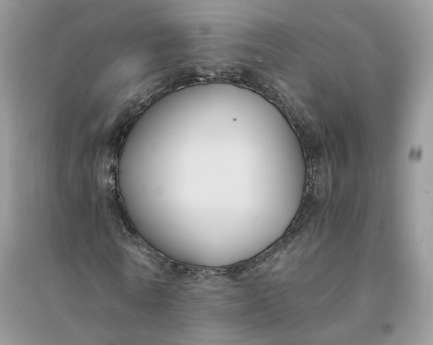 X0000096140770200802011210