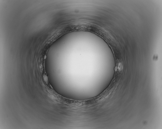 X0000096140771200802011210