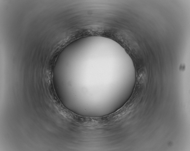 X0000096140772200802011210