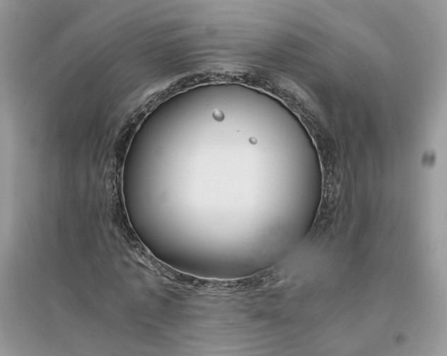 X0000096140773200802011210