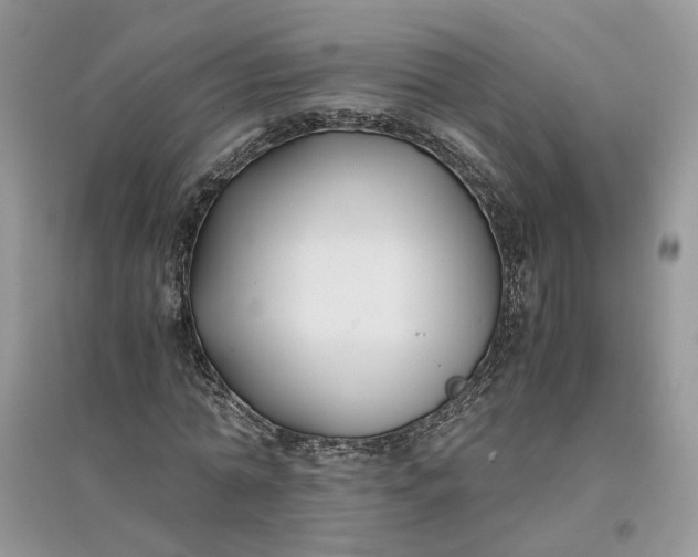 X0000096140774200802011210