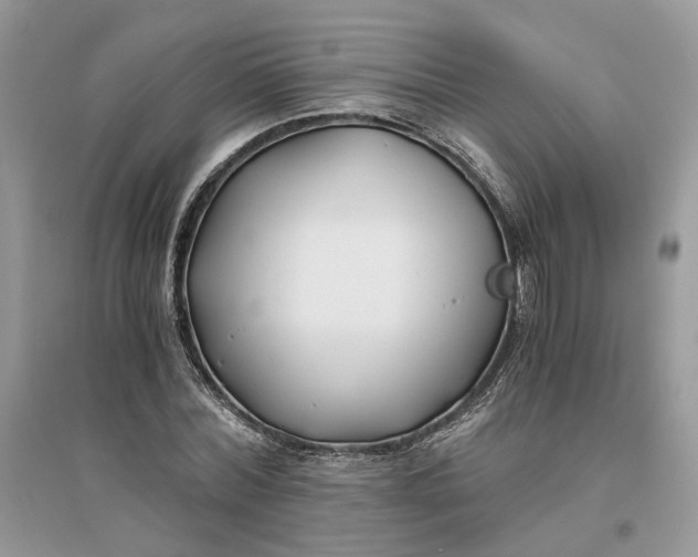 X0000096140780200802011210