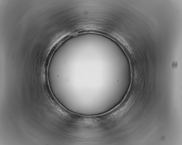 X0000096140782200802011210