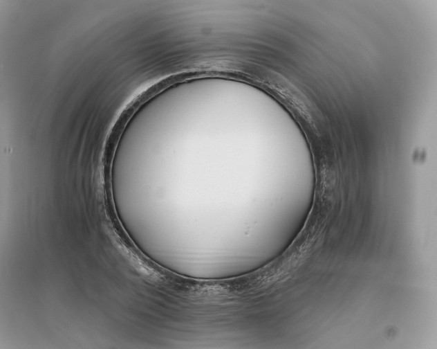 X0000096140784200802011209