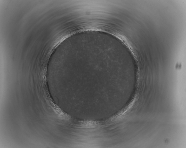 X0000096140785200802011209