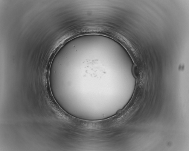 X0000096140786200802011209