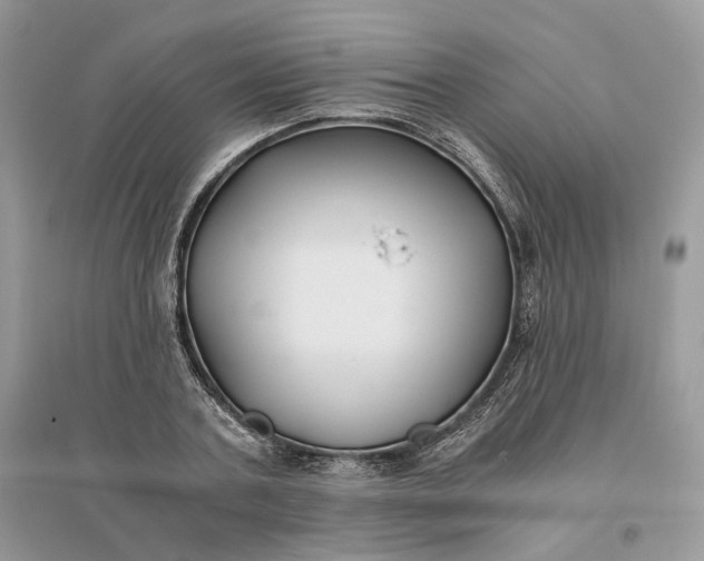 X0000096140787200802011209