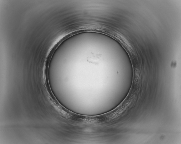 X0000096140788200802011209