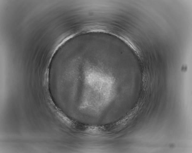 X0000096140790200802011209