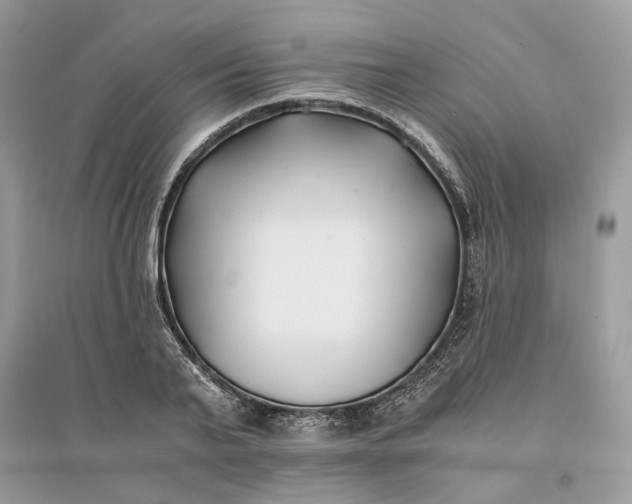X0000096140791200802011209