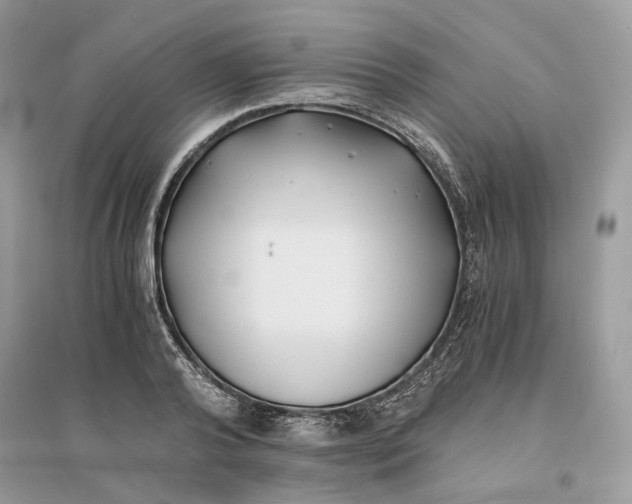 X0000096140792200802011209