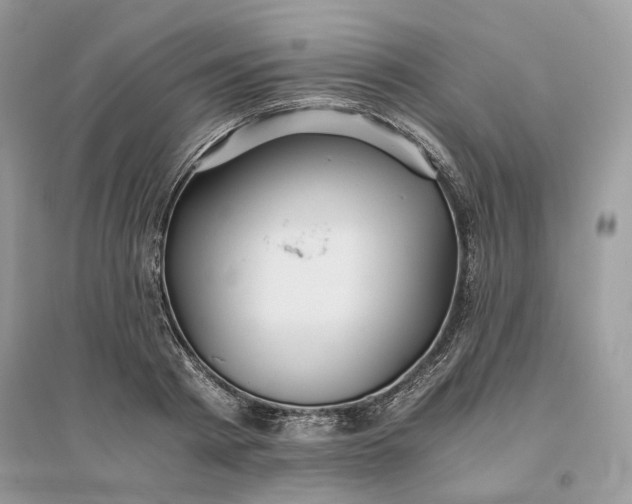 X0000096140793200802011209