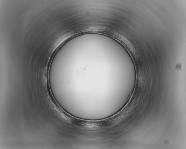 X0000096140794200802011209