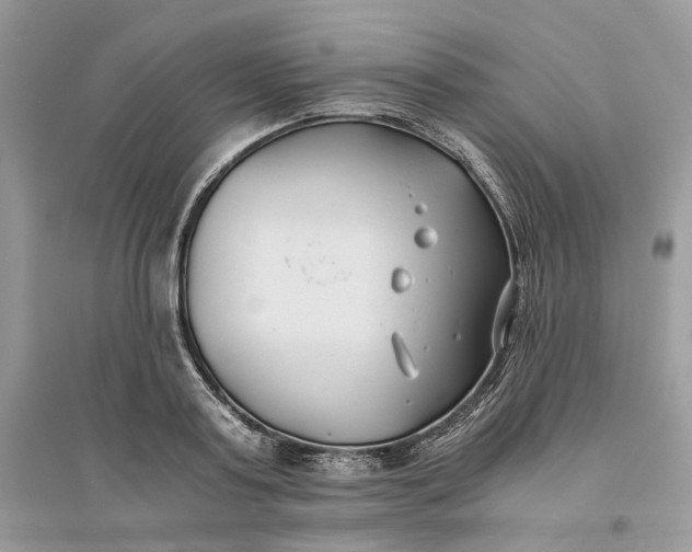 X0000096140795200802011209