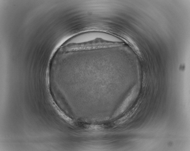 X0000096140796200802011209