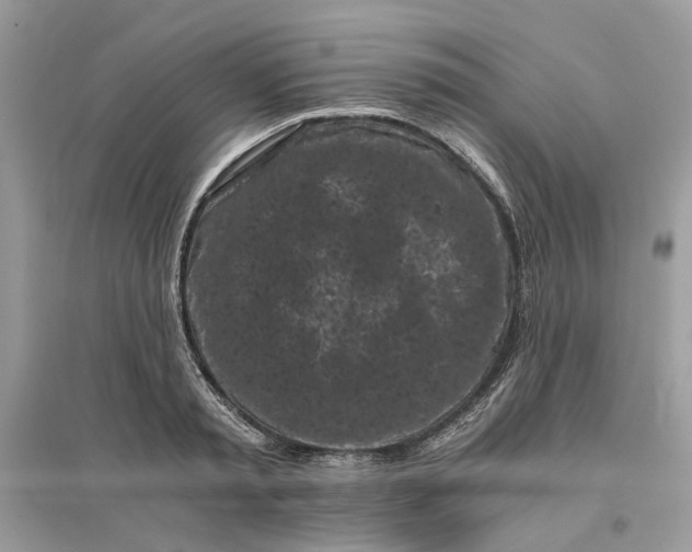X0000096140797200802011209