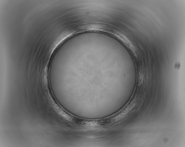 X0000096140798200802011209