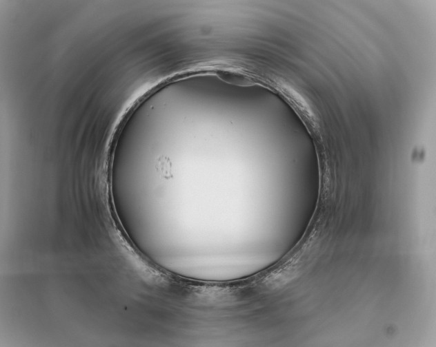 X0000096140800200802011209