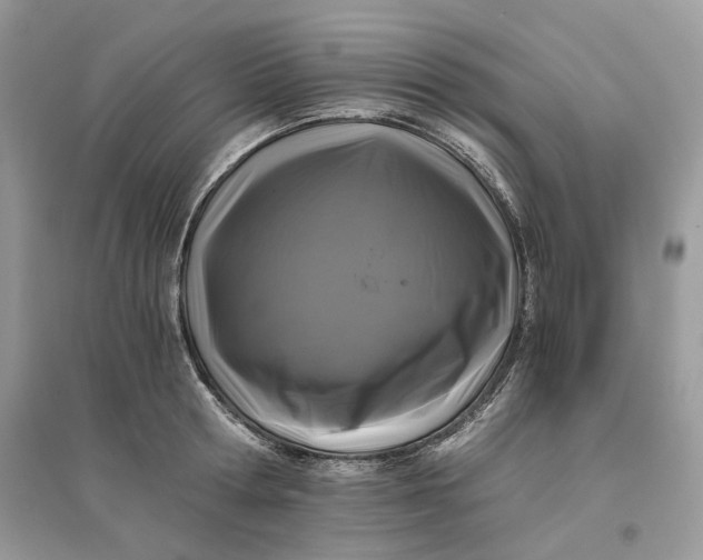 X0000096140802200802011209