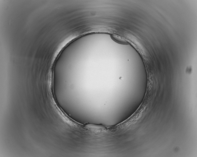 X0000096140804200802011209