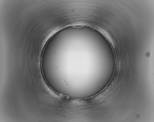X0000096140805200802011209
