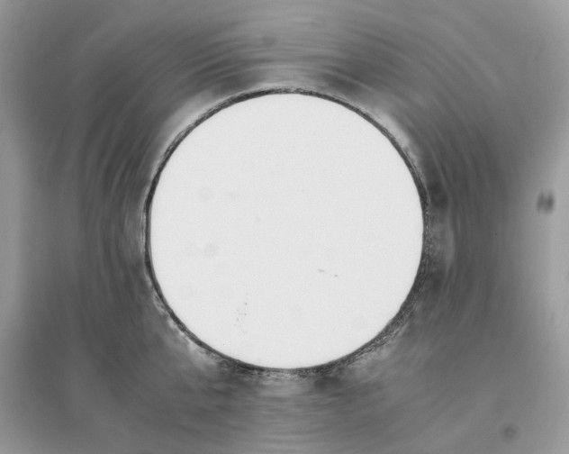 X0000096140807200802011209